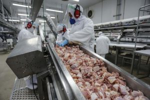 Frango: ABPA rebate África do Sul sobre dumping