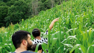 Renda Agricultor Familiar já beneficiou 6 mil famílias