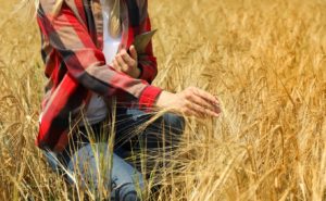Sindicato Rural promove curso para mulheres