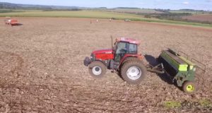 VEJA: os riscos de plantar o milho fora do período ideal