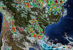 VÍDEO: finalmente a chuva volta ao Sul