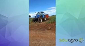 Desesperado, produtor colhe soja para silagem