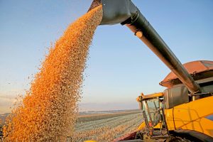 Agronegócio bate recorde de exportações no primeiro mês de 2022