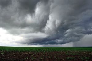 Chuva irregular e geada precoce devem marcar 2022