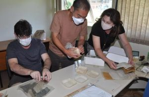 Projeto cria materiais biodegradáveis para agricultura