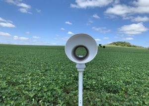 Nova tecnologia emite alerta de doenças nas lavouras
