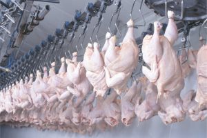 Carne de frango tem aumento de 19,7% nas exportações de janeiro