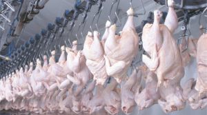 Preço do frango sofre queda em janeiro