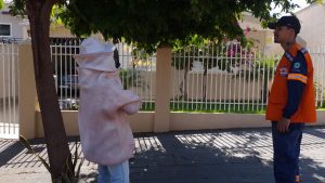 Defesa Civil bate recorde na captura de abelhas