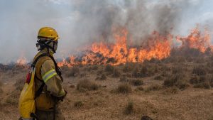 Incêndios deixam rastro de destruição na fronteira do Brasil com Argentina