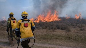 Inteligência artificial pode identificar focos de incêndio com antecedência, saiba como