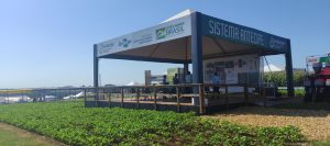 Veja as vantagens do plantio consorciado de soja e milho