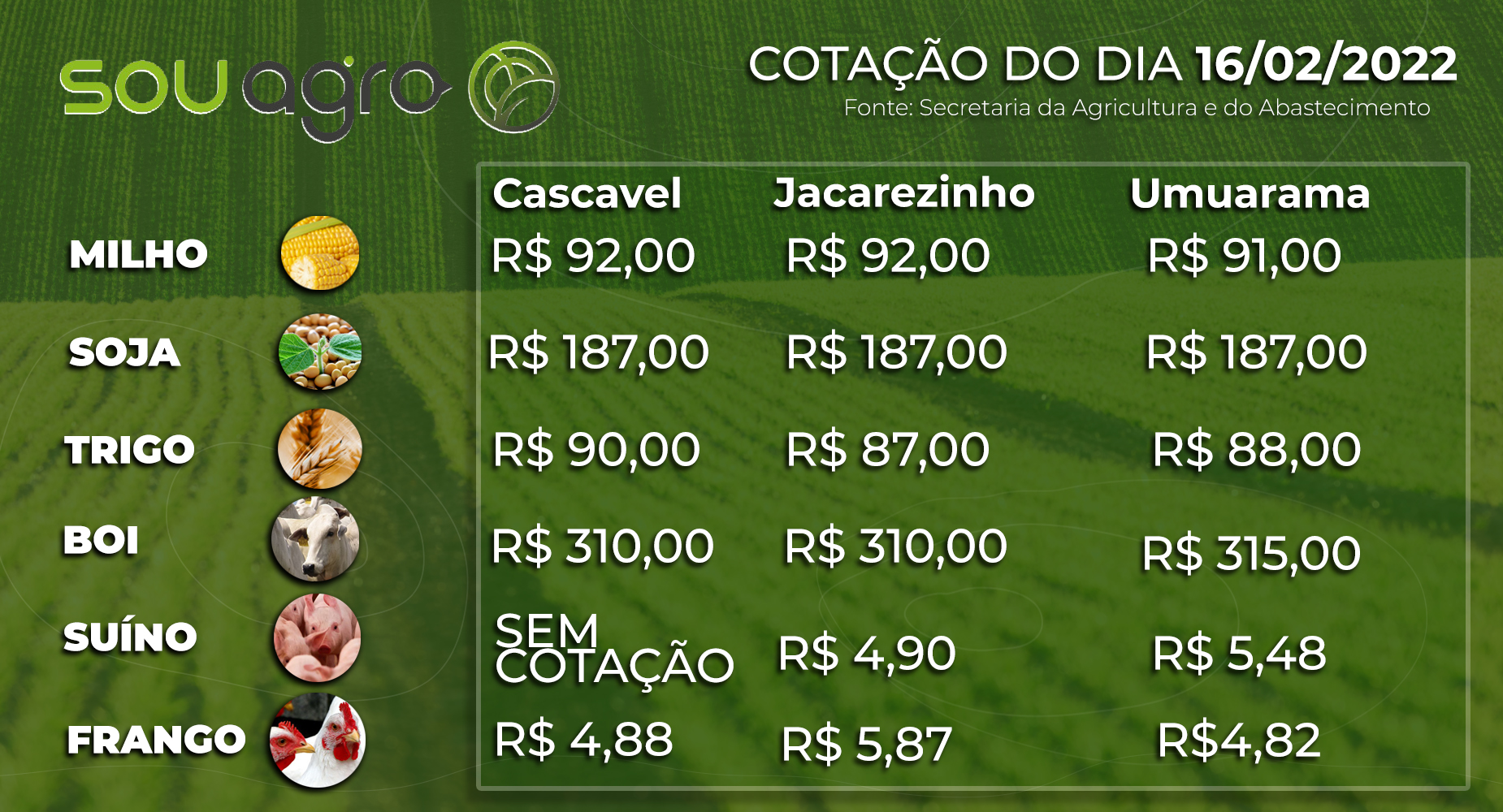 cotações