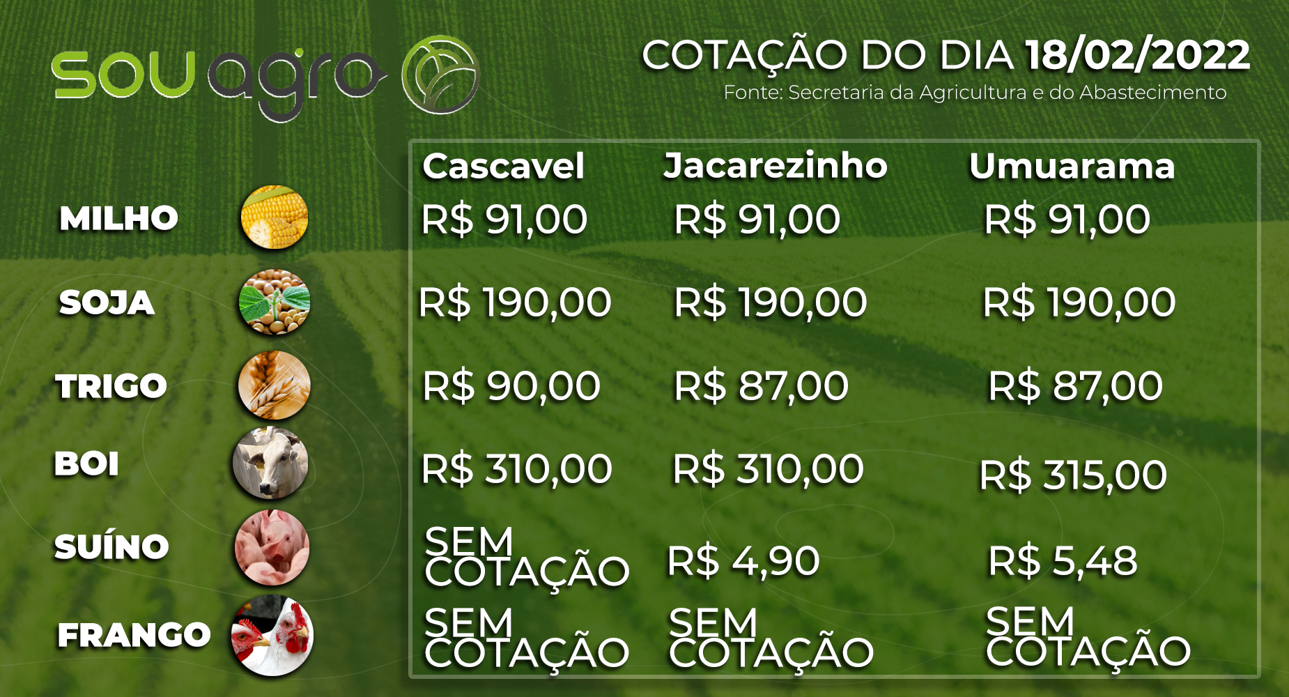 cotações