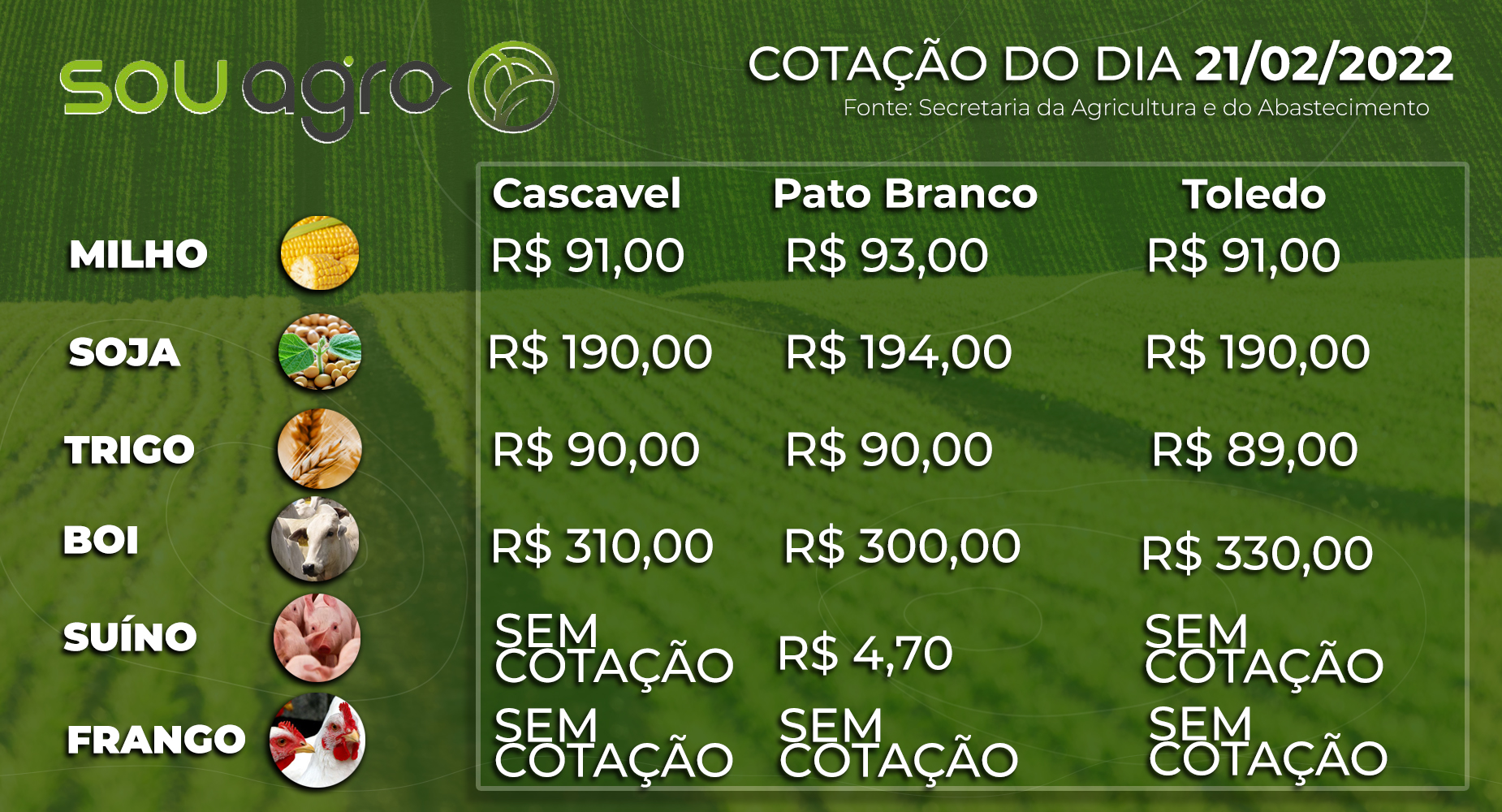 cotações