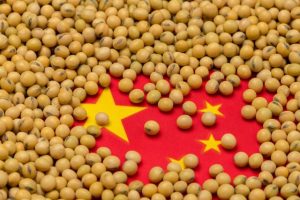 SOJA: China troca o Brasil pelos Estados Unidos