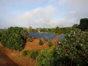 Adoção por energias renováveis no Paraná cresce 70% no campo