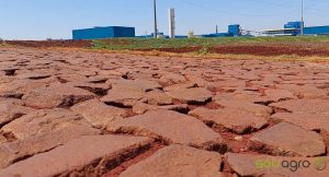 VÍDEO: Palotina investe em estradas e qualidade de vida