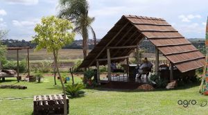 VÍDEO: IDR-Paraná reúne 50 tecnologias em 4 hectares de área