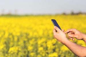 Internet de alta velocidade a produtores rurais do Brasil