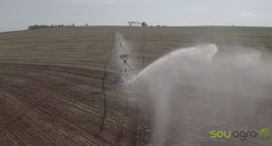 VÍDEO: em tempos de seca, apostar em irrigação é viável?