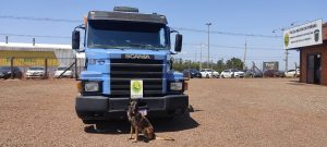 Polícia flagra desvio de 32 toneladas de soja