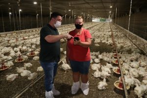 VÍDEO: aplicativo na avicultura é evolução nas granjas