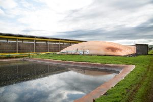 Paraná é destaque em biogás e biometano