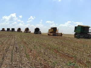 Mesmo com dificuldades na safra, agricultores fazem doação de colheita