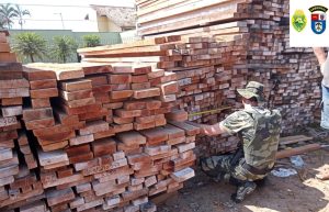 Venda de madeira ilegal gera multa de quase R$150 mil