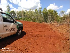Desmatamento termina em multa e propriedade embargada