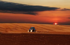 Crédito rural: contratação supera R$ 159,7 bi em seis meses