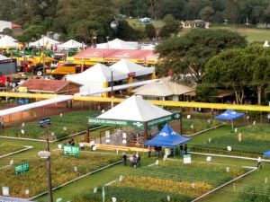 Embrapa promove palestras diárias para visitantes