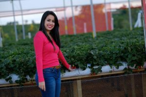 Produtora conquista certificados de produção sustentável de morango