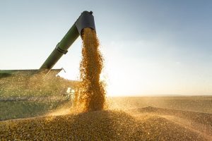 Seca impacta estimativa do Valor Bruto da Produção Agropecuária