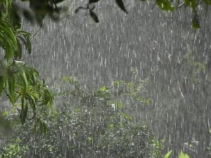 VÍDEO: Cadê a chuva pra valer?
