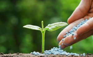 Por conta da guerra, Brasil busca alternativas para importar fertilizantes