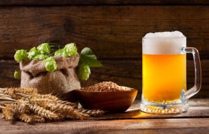 Conheça a 1ª cerveja com lúpulo 100% paranaense