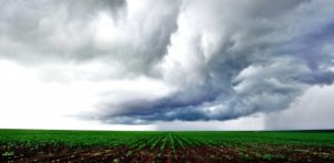 Chuvas irregulares: Setembro desafiou agricultores