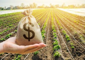 Indenizações do seguro rural ultrapassam R$ 5 bilhões