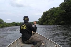 Crimes contra a piracema na mira do IAT