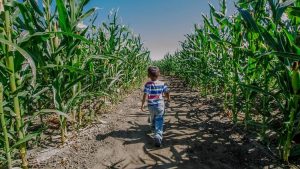Você sabe o que seu filho aprende sobre Agro na escola?