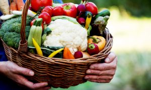 Agricultura familiar sofre com reflexos da seca