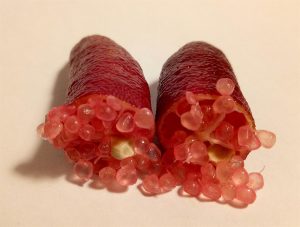 Limão caviar vermelho e os benefícios para a saúde