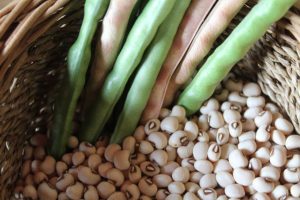Ministério divulga produtos agrícolas com bônus de desconto