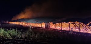 Mais de 20 mil frangos morrem em incêndio no Paraná