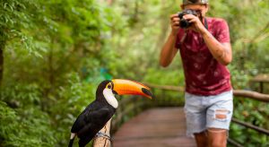 CARNAVAL: Parque das Aves espera 8 mil visitantes