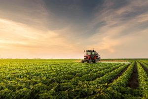 Falta de dessecante coloca produção de alimentos em risco, diz Aprosoja