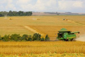 Paraná é destaque em fabricação de alimentos