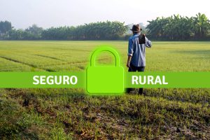 Aprenda tudo sobre seguro rural em um curso gratuito